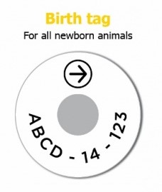A visual birth tag showing the information on the tag. It ends with the 1 to 4 digit sequence number