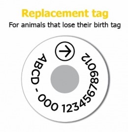 A replacement visual tag showing the layout of information on the tag