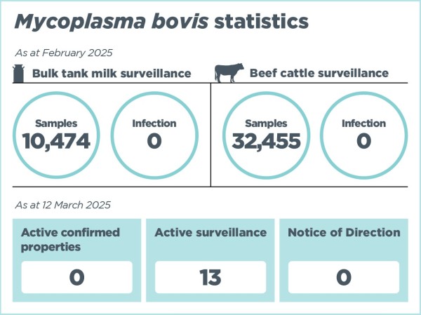infographic of containing statistics relating to the M. bovis programme