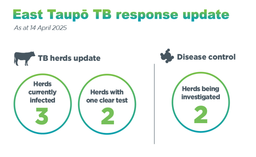 Infographic entitled 'East Taupō TB response update'. It shows the number of herds infected (4), number of herds with a clear test (0), and number of herds being investigated (2) in East Taupō