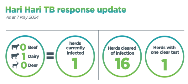 Infographic titled Hari Hari TB response update, 18 January 2023. It shows 6 herds are infected, 8 herds have been cleared of infection, and 4 herds have had 1 clear test