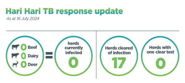 Infographic titled Hari Hari TB response update, 18 January 2023. It shows 6 herds are infected, 8 herds have been cleared of infection, and 4 herds have had 1 clear test