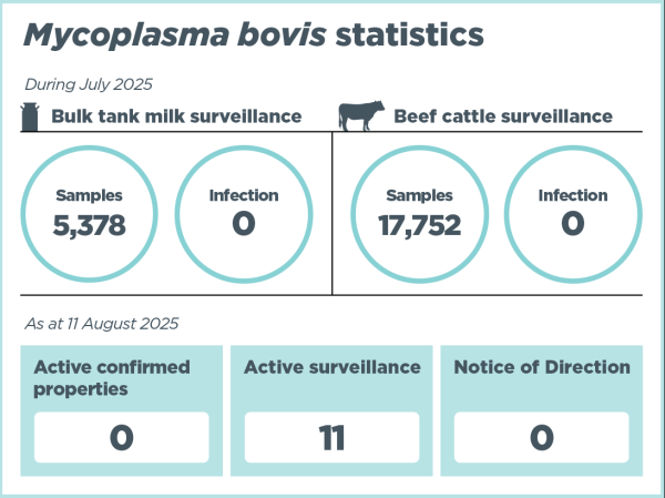 Infographic titled ‘Mycoplasma bovis statistics'. It shows that as at 6 June 2025, there were 282 confirmed properties identified since 2017. There are currently 0 active confirmed properties. National Surveillance shows 9,142 bulk tank milk samples taken, 29,945 beef samples taken, and 0 confirmed infections. Other key statistics show that since the last update in April 2025,the number of Notices of Direction issued is 0, the number of properties under active surveillance is 10.