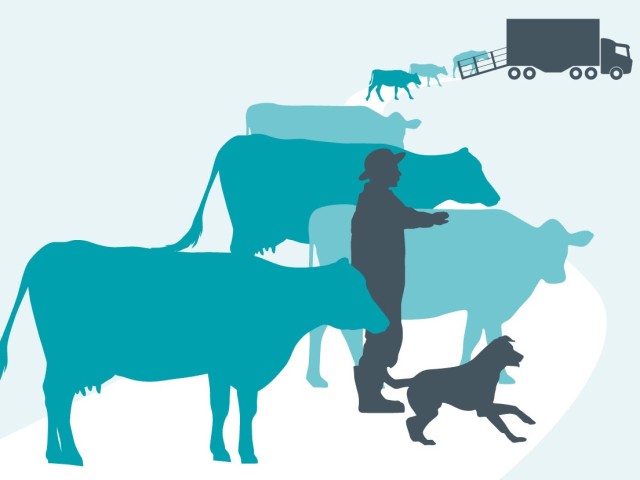 Graphic of farm animals, a silhouette of a farmer and a dog