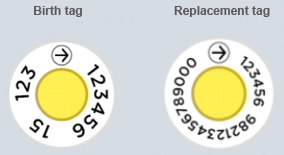 NAIT birth and replacement tags with a NAIT location number printed on them.