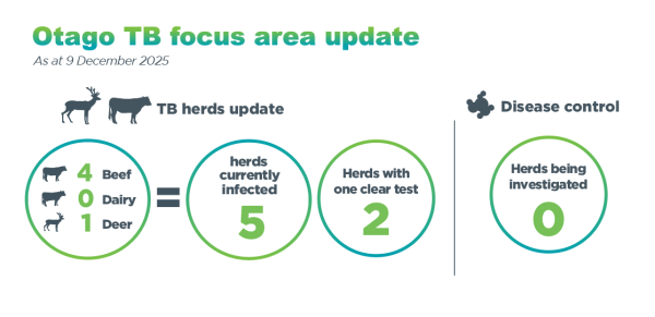 Infographic showing herds currently infected with TB in the Otago focus area