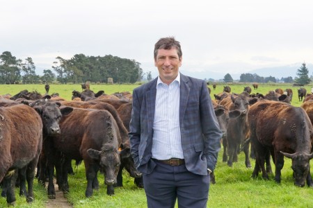 Sam McIvor in a field with cattle