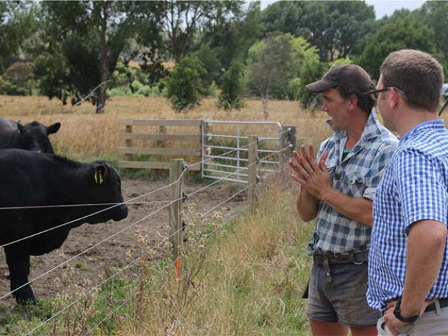 Two farmers looking at two cows behind a fence