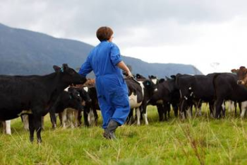 Women in overalls walking through a field next to cattle
