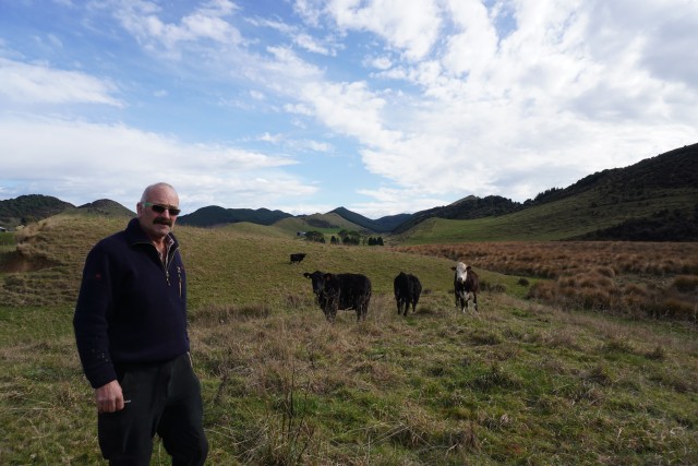 Farmer standing in a field with 3 cows slightly behind him