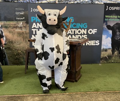 person wearing a humorous cow outfit at a farming event