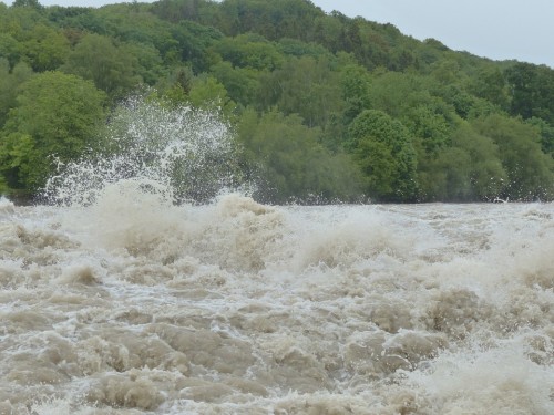 heavily flooded river with a rural background