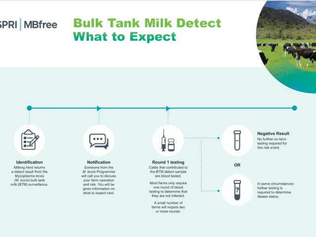 Factsheet cover for 'Bulk tank milk - indicative process for farmers'