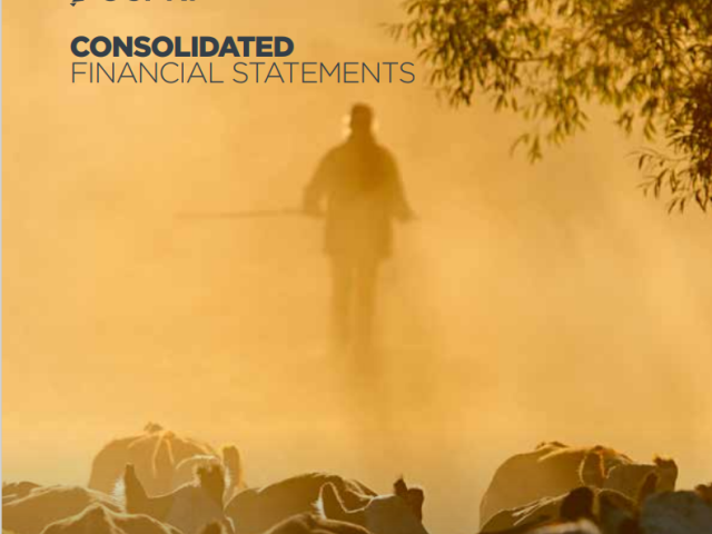 Consolidated Financial Statements 2016-2017 cover photo