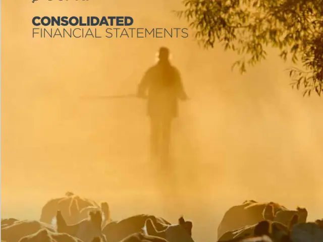 Consolidated Financial Statements 2016-2017 cover photo