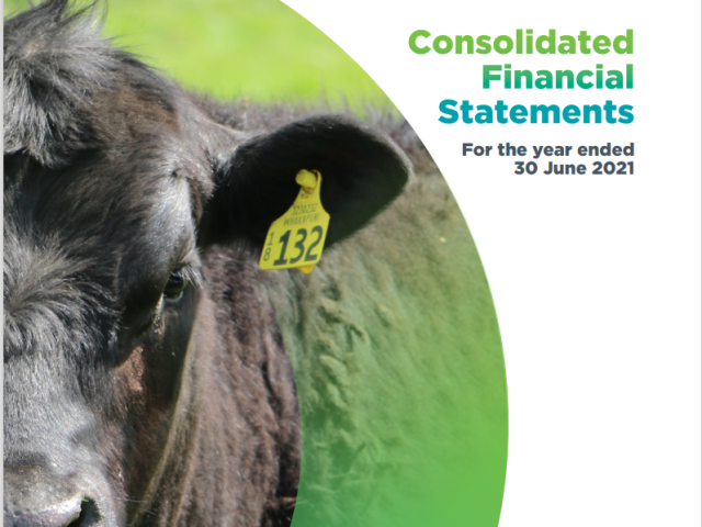 Consolidated Financial Statements 2020-2021 cover photo