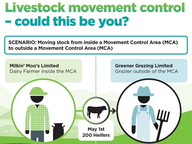 Cover of livestock movement scenario - moving stock from inside an MCA infographic 