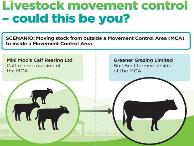 Cover of livestock movement scenario - moving stock from outside an MCA infographic 