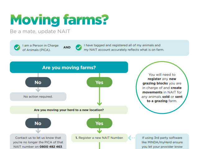 Moving Day decision-making tree teaser