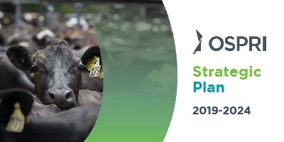 Cover of OSPRI Strategic Plan 2019-2024