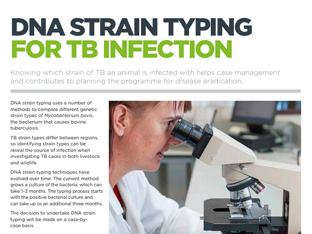 Factsheet cover for 'DNA strain typing for TB infection'