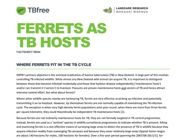 Factsheet cover 'Ferrets as TB hosts'