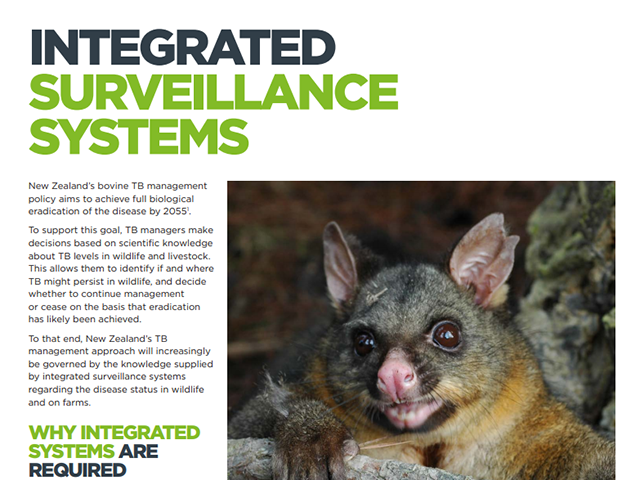 Factsheet cover for 'Integrated surveillance systems'