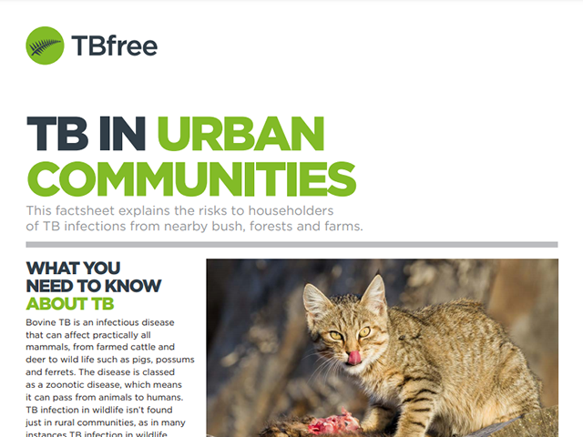 Fcatsheet cover for 'TB in urban communities'
