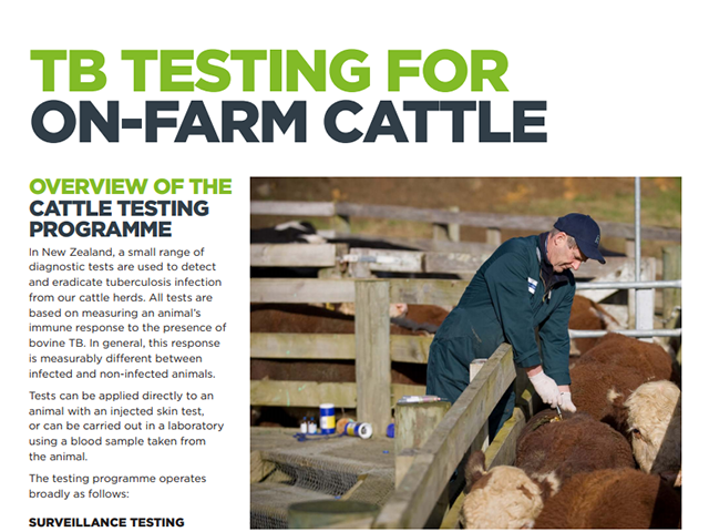 Factsheet cover 'TB testing for on farm cattle'