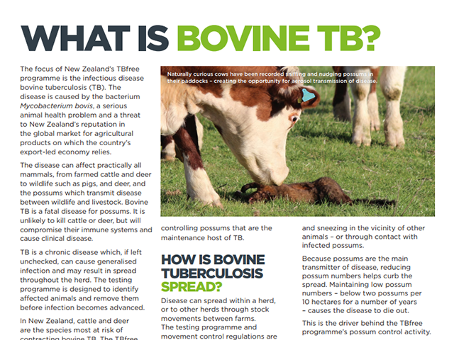 Cover of factsheet 'What is bovine TB'