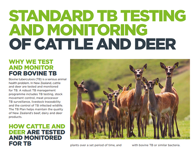 Factsheet cover for 'standard TB testing and monitoring of cattle and deer'