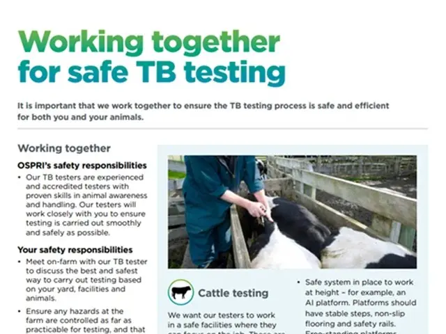 Cover of factsheet 'Working together for safe TB testing'